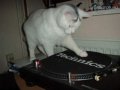 Turntable-Hype